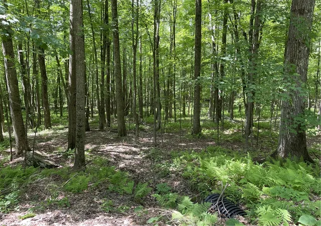 Photo 1 of Sale Pending at Skip Gray Rd, De Lancey, NY 13752 | MLS# R1691819 | Listing updated on 2026-08-30