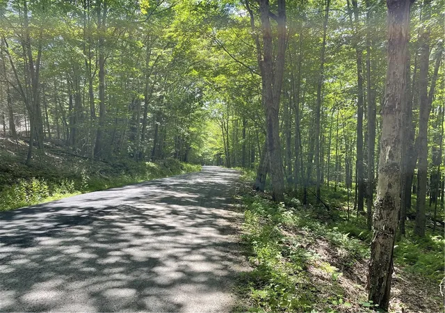Photo 2 of Sale Pending at Skip Gray Rd, De Lancey, NY 13752 | MLS# R1691819 | Listing updated on 2026-08-30