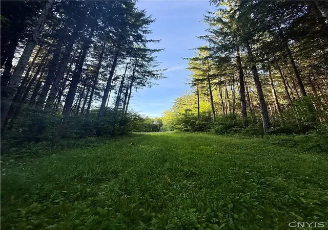 Photo 2 of Sale Pending at 9191 Furman Mills Rd, Sherburne, NY 13460 | MLS# S1692993 | Listing updated on 2026-09-03
