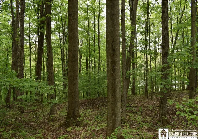 Photo 3 of Sale Pending at 0 Harris Holw Rd, Gerry, NY 14740 | MLS# R1693101 | Listing updated on 2026-08-20