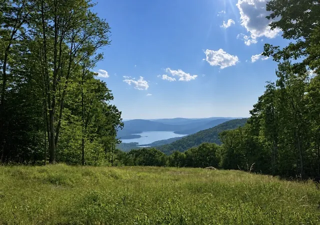 Photo 1 of Land for sale at 000 Tower Ln, Walton, NY 13856 | MLS# R1695577 | Listing updated on 2026-08-25