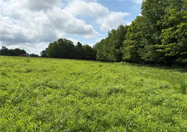 Photo 2 of Land for sale at 0 Swantak Rd, South Kortright, NY 13842 | MLS# R1694733 | Listing updated on 2026-08-24