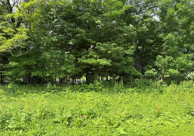 Photo 3 of Land for sale at 0 Swantak Rd, South Kortright, NY 13842 | MLS# R1694733 | Listing updated on 2026-08-24