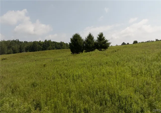 Photo 3 of Sale Pending at 137 Windham Rd, Greene, NY 13778 | MLS# S1696715 | Listing updated on 2026-08-17