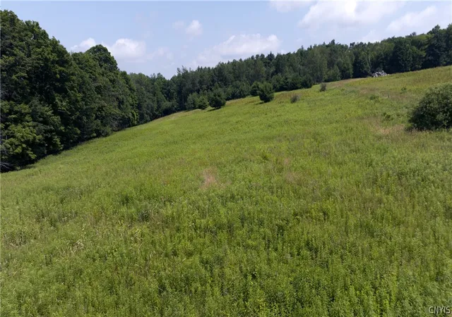 Photo 3 of Sale Pending at 137 Windham Rd, Greene, NY 13778 | MLS# S1696715 | Listing updated on 2026-08-17