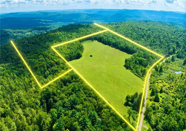 Photo 1 of Land for sale at Schlafer Rd, Guilford, NY 13780 | MLS# R1695326 | Listing updated on 2026-08-27