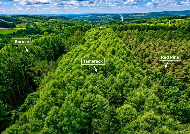 Photo 3 of Land for sale at Route 20 E Rd, Cazenovia, NY 13035 | MLS# S1697399 | Listing updated on 2026-08-27