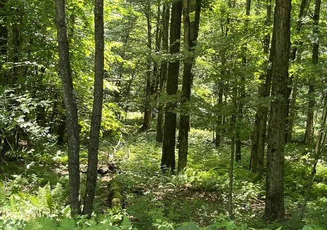 Photo 3 of Land for sale at W Highland Rd, Stamford, NY 12167 | MLS# R1697485 | Listing updated on 2026-09-11