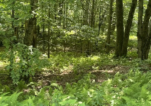 Photo 3 of Land for sale at W Highland Rd, Stamford, NY 12167 | MLS# R1697485 | Listing updated on 2026-09-11