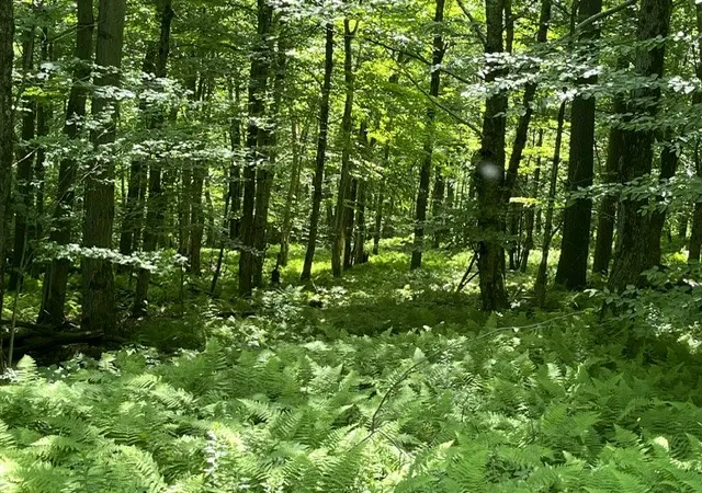 Photo 4 of Land for sale at W Highland Rd, Stamford, NY 12167 | MLS# R1697485 | Listing updated on 2026-09-11