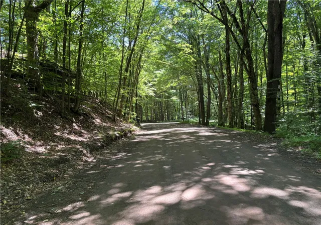 Photo 1 of Land for sale at 0 Mckee Hl Rd, East Meredith, NY 13757 | MLS# R1696987 | Listing updated on 2026-08-04