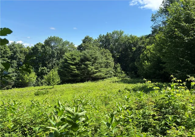 Photo 2 of Land for sale at 0 Mckee Hl Rd, East Meredith, NY 13757 | MLS# R1696987 | Listing updated on 2026-08-04