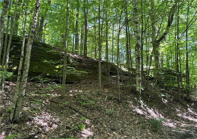Photo 3 of Land for sale at 0 Mckee Hl Rd, East Meredith, NY 13757 | MLS# R1696987 | Listing updated on 2026-08-04