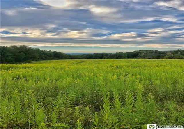 Photo 3 of Land for sale at 1004 Wigren Rd, Frewsburg, NY 14738 | MLS# R1698358 | Listing updated on 2026-08-17