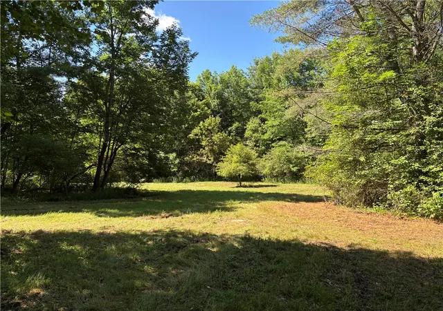 Photo 1 of Sale Pending at 0 Cronin Rd, Schenevus, NY 12155 | MLS# R1697331 | Listing updated on 2026-08-29