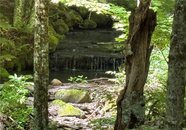 Photo 2 of Sale Pending at 0 Cronin Rd, Schenevus, NY 12155 | MLS# R1697331 | Listing updated on 2026-08-29