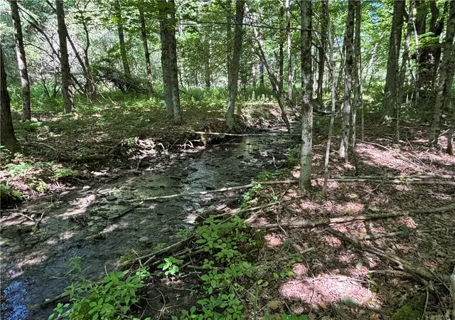 Photo 3 of Sale Pending at 0 Cronin Rd, Schenevus, NY 12155 | MLS# R1697331 | Listing updated on 2026-08-29