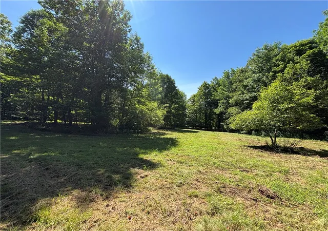 Photo 3 of Sale Pending at 0 Cronin Rd, Schenevus, NY 12155 | MLS# R1697331 | Listing updated on 2026-08-29