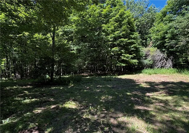 Photo 4 of Sale Pending at 0 Cronin Rd, Schenevus, NY 12155 | MLS# R1697331 | Listing updated on 2026-08-29
