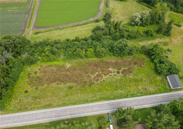 Land for sale at 0 State Route 88 N, Newark, NY 14513 | MLS# R1700980