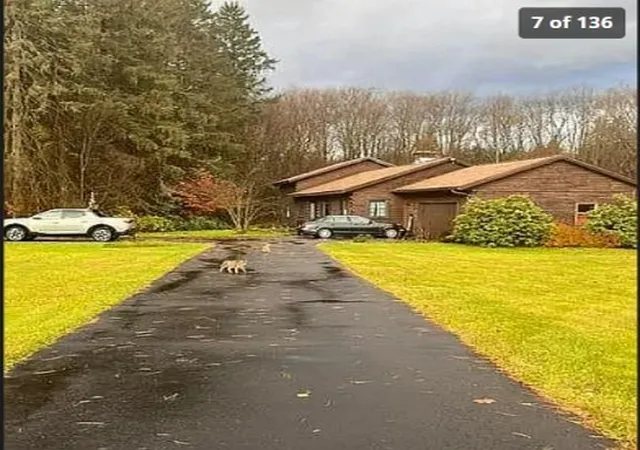 Single family home for sale at 1979 Randolph Rd, Ashville, NY 14710 | MLS# R1702251