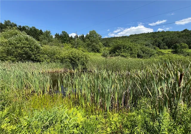 Photo 2 of Sale Pending at 304 Cooper Rd, Cooperstown, NY 13326 | MLS# R1701696 | Listing updated on 2026-08-26