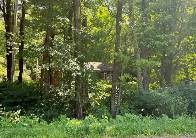 Photo 1 of Sale Pending at 3390 Mcconnellsville Rd, Blossvale, NY 13308 | MLS# S1703133 | Listing updated on 2026-08-22