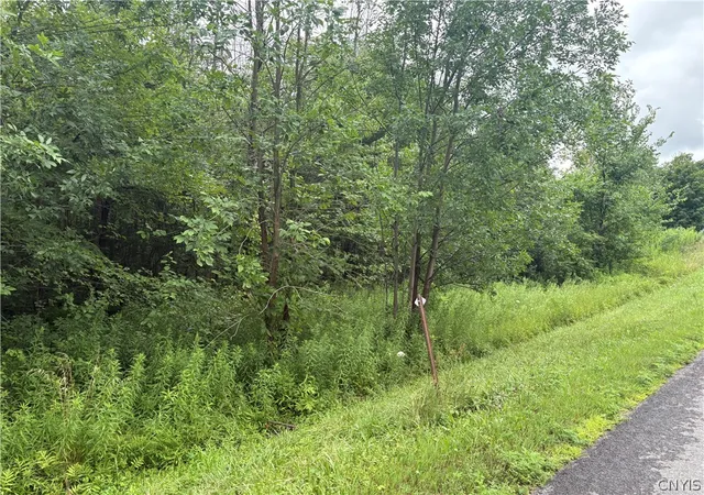 Photo 1 of Land for sale at Red School House Rd, Fulton, NY 13069 | MLS# S1703136 | Listing updated on 2026-09-04