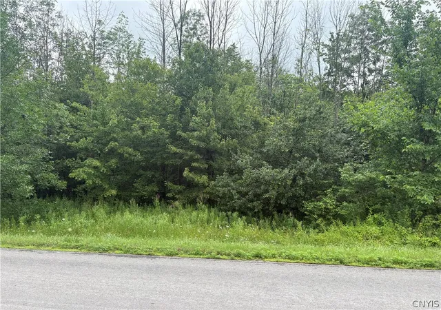 Photo 3 of Land for sale at Red School House Rd, Fulton, NY 13069 | MLS# S1703136 | Listing updated on 2026-09-04