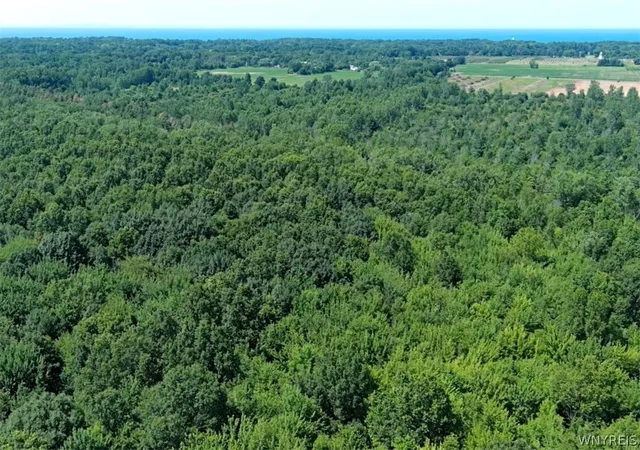 Photo 7 of Land for sale at Cain Rd N, Youngstown, NY 14174 | MLS# B1703245 | Listing updated on 2026-09-08