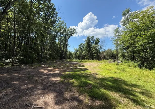Photo 1 of Land for sale at 3426 Oswego Rd, Blossvale, NY 13308 | MLS# S1703264 | Listing updated on 2026-08-06