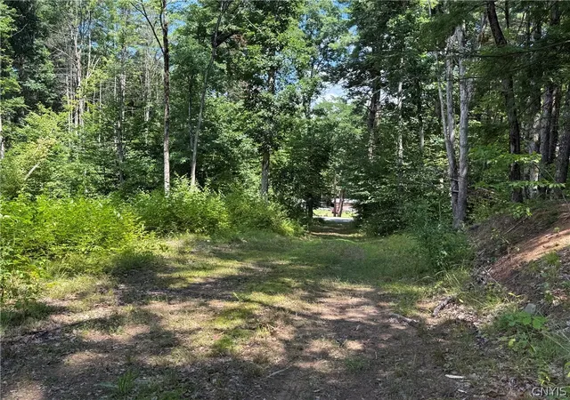 Photo 2 of Land for sale at 3426 Oswego Rd, Blossvale, NY 13308 | MLS# S1703264 | Listing updated on 2026-08-06