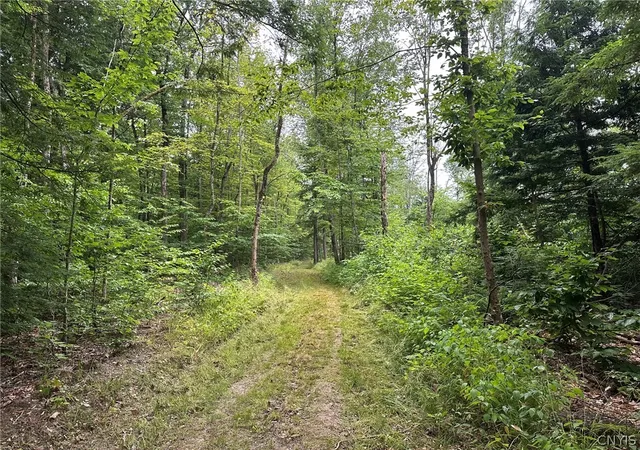 Photo 3 of Land for sale at 3426 Oswego Rd, Blossvale, NY 13308 | MLS# S1703264 | Listing updated on 2026-08-06