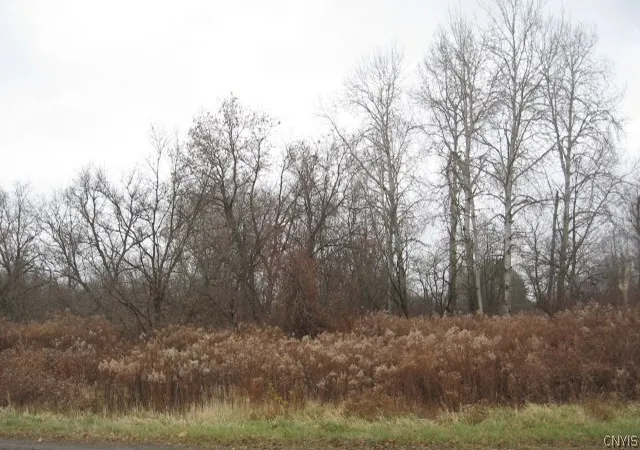 Photo 1 of Land for sale at 886 Blockville Watts Flats Rd, Ashville, NY 14710 | MLS# S1703600 | Listing updated on 2026-09-16