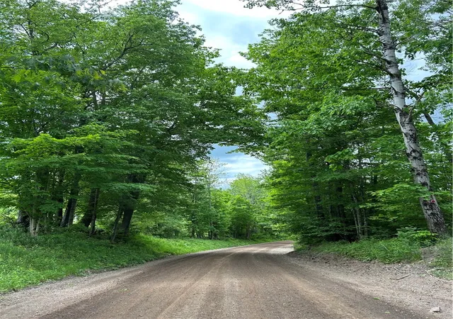 Photo 1 of Land for sale at Lot 13 Grange Hall Rd, Oneonta, NY 13820 | MLS# R1703739 | Listing updated on 2026-08-05