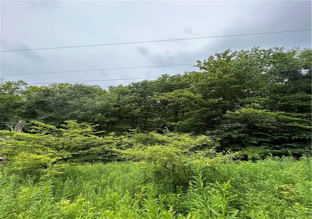 Photo 2 of Land for sale at Lot 13 Grange Hall Rd, Oneonta, NY 13820 | MLS# R1703739 | Listing updated on 2026-08-05