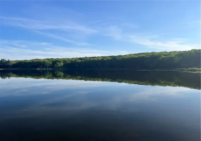 Photo 3 of Land for sale at 103 Blueberry Dr, Deposit, NY 13754 | MLS# R1703973 | Listing updated on 2026-08-04