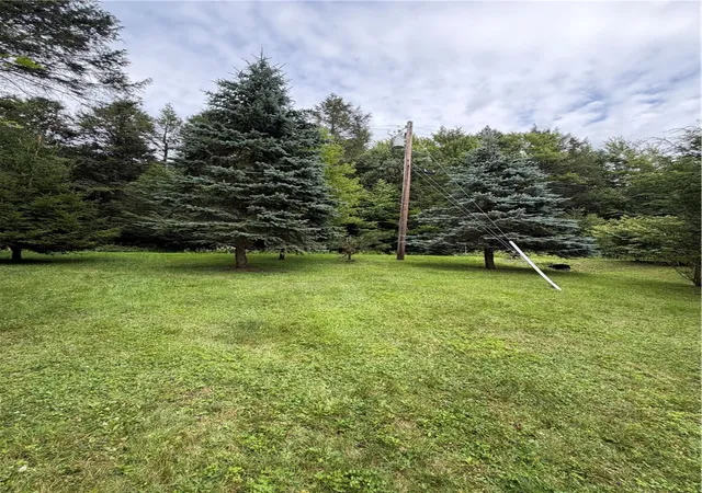 Photo 3 of Land for sale at 103 Blueberry Dr, Deposit, NY 13754 | MLS# R1703973 | Listing updated on 2026-08-04