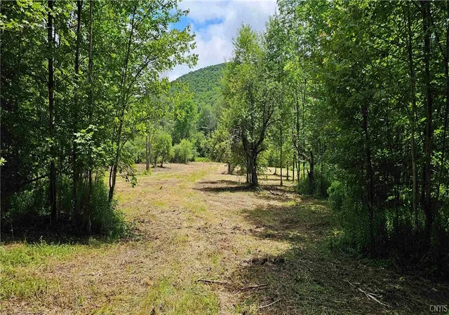 Photo 1 of Land for sale at 1233 State Route 221, Marathon, NY 13803 | MLS# S1704343 | Listing updated on 2026-08-04