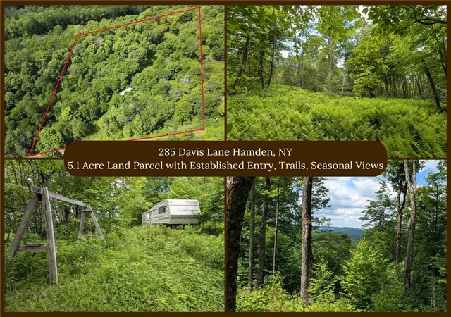 Photo 2 of Sale Pending at 285 Davis Ln, Hamden, NY 13782 | MLS# R1702916 | Listing updated on 2026-08-10
