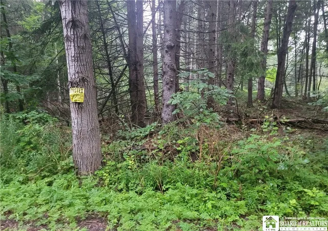 Photo 1 of Land for sale at 0 Wade Hl Rd, Gerry, NY 14740 | MLS# R1704824 | Listing updated on 2026-09-10
