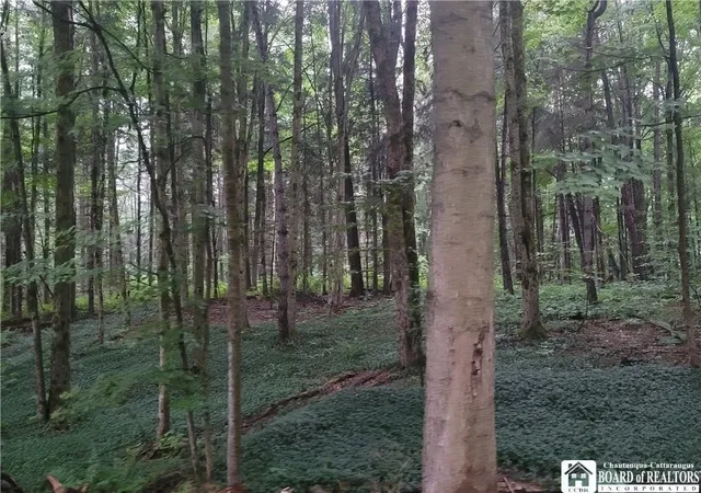 Photo 3 of Land for sale at 0 Wade Hl Rd, Gerry, NY 14740 | MLS# R1704824 | Listing updated on 2026-09-10