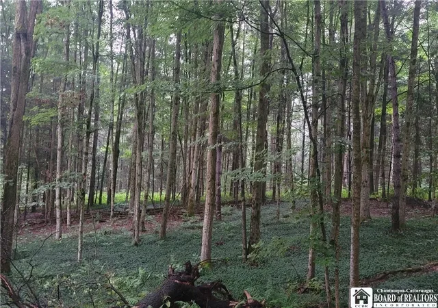 Photo 3 of Land for sale at 0 Wade Hl Rd, Gerry, NY 14740 | MLS# R1704824 | Listing updated on 2026-09-10