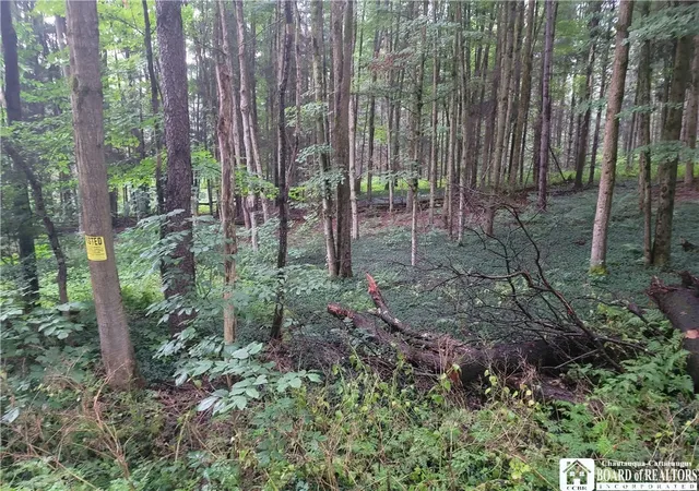 Photo 4 of Land for sale at 0 Wade Hl Rd, Gerry, NY 14740 | MLS# R1704824 | Listing updated on 2026-09-10