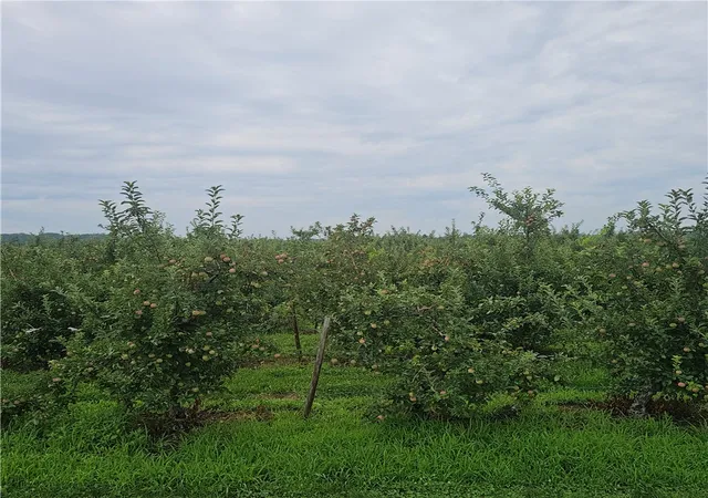 Photo 1 of Land for sale at 3100 Densmore Rd, Albion, NY 14411 | MLS# R1701312 | Listing updated on 2026-08-24