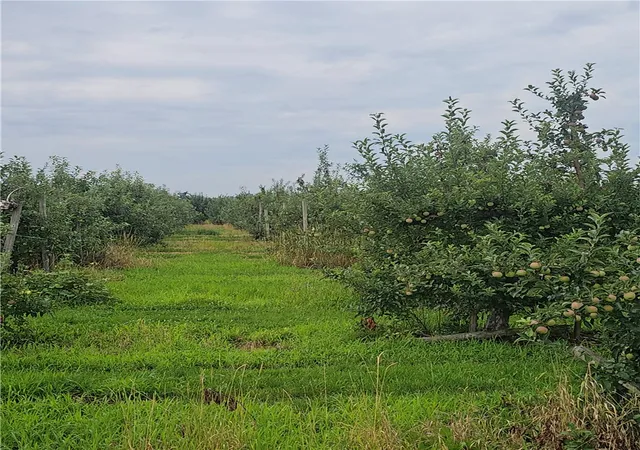 Photo 2 of Land for sale at 3100 Densmore Rd, Albion, NY 14411 | MLS# R1701312 | Listing updated on 2026-08-24