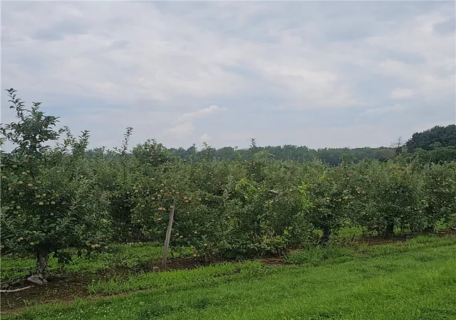 Photo 3 of Land for sale at 3100 Densmore Rd, Albion, NY 14411 | MLS# R1701312 | Listing updated on 2026-08-24