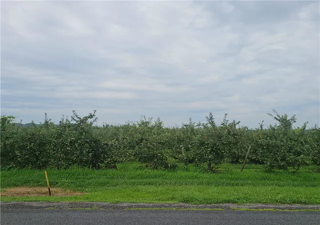 Photo 1 of Land for sale at 3120 Densmore, Albion, NY 14411 | MLS# R1705543 | Listing updated on 2026-09-09