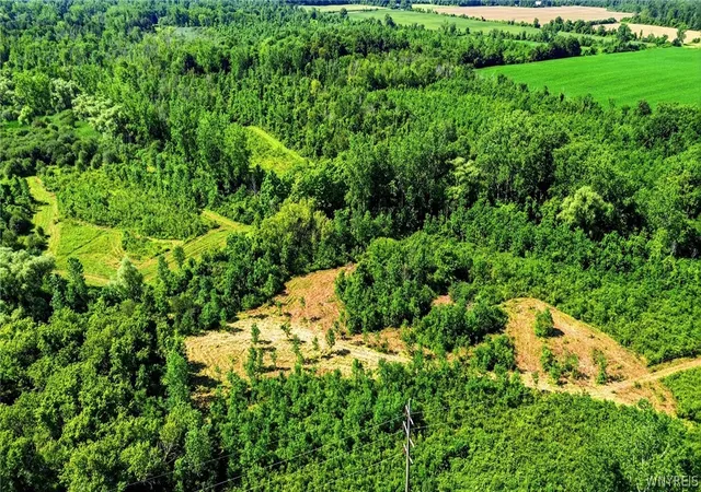 Photo 3 of Land for sale at 00 Barnum Rd, Akron, NY 14001 | MLS# B1705377 | Listing updated on 2026-08-09