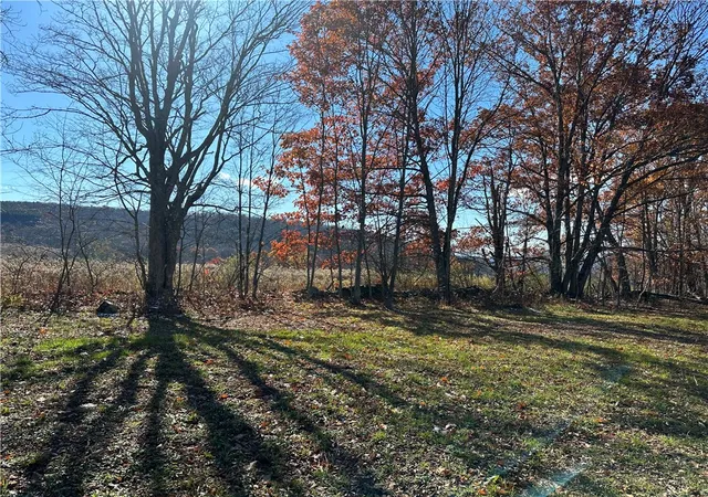 Photo 1 of Land for sale at 12522 State Hwy 206, Walton, NY 13856 | MLS# R1705751 | Listing updated on 2026-08-10